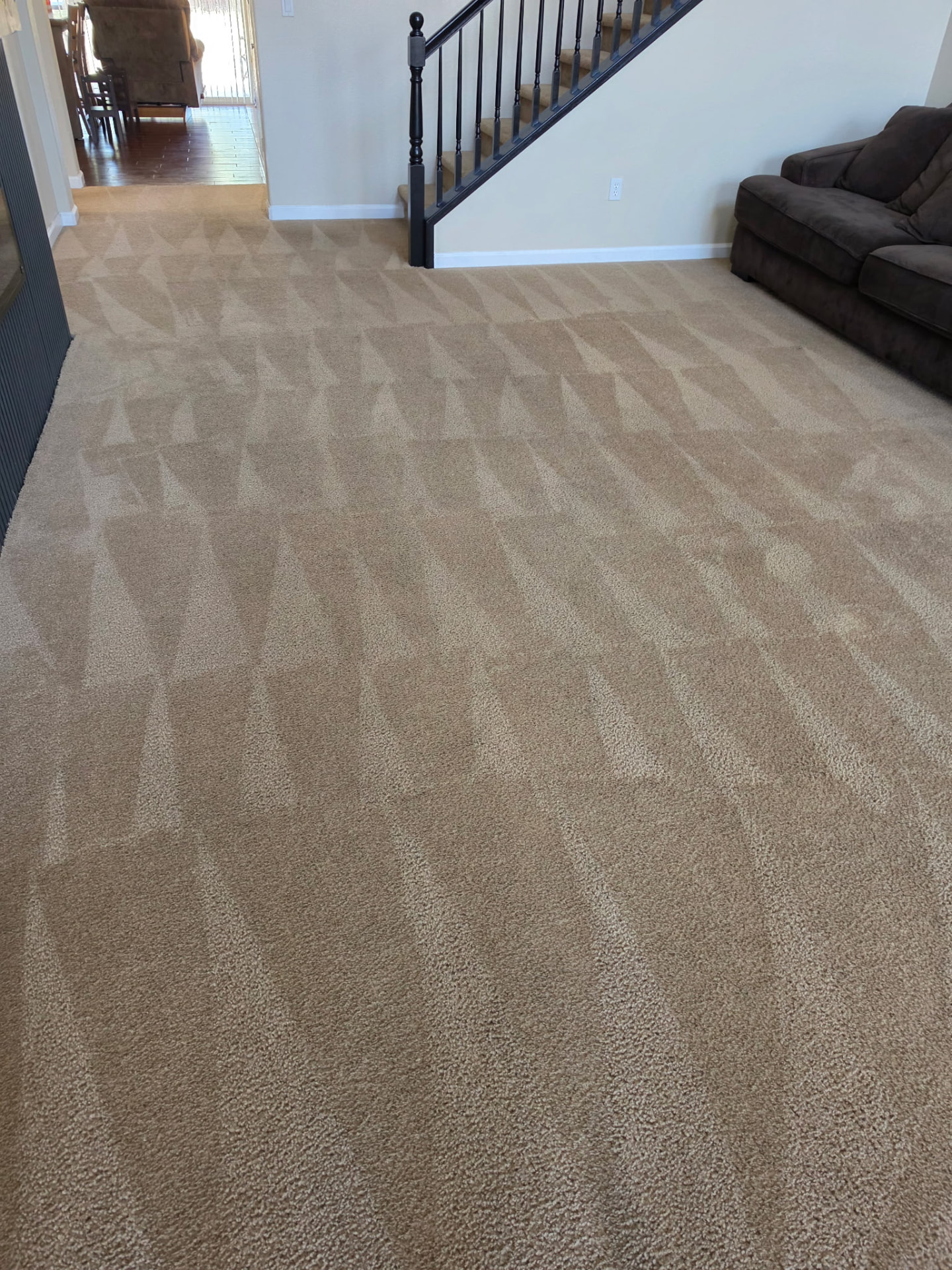 Living room carpet with fresh cleaning lines after service