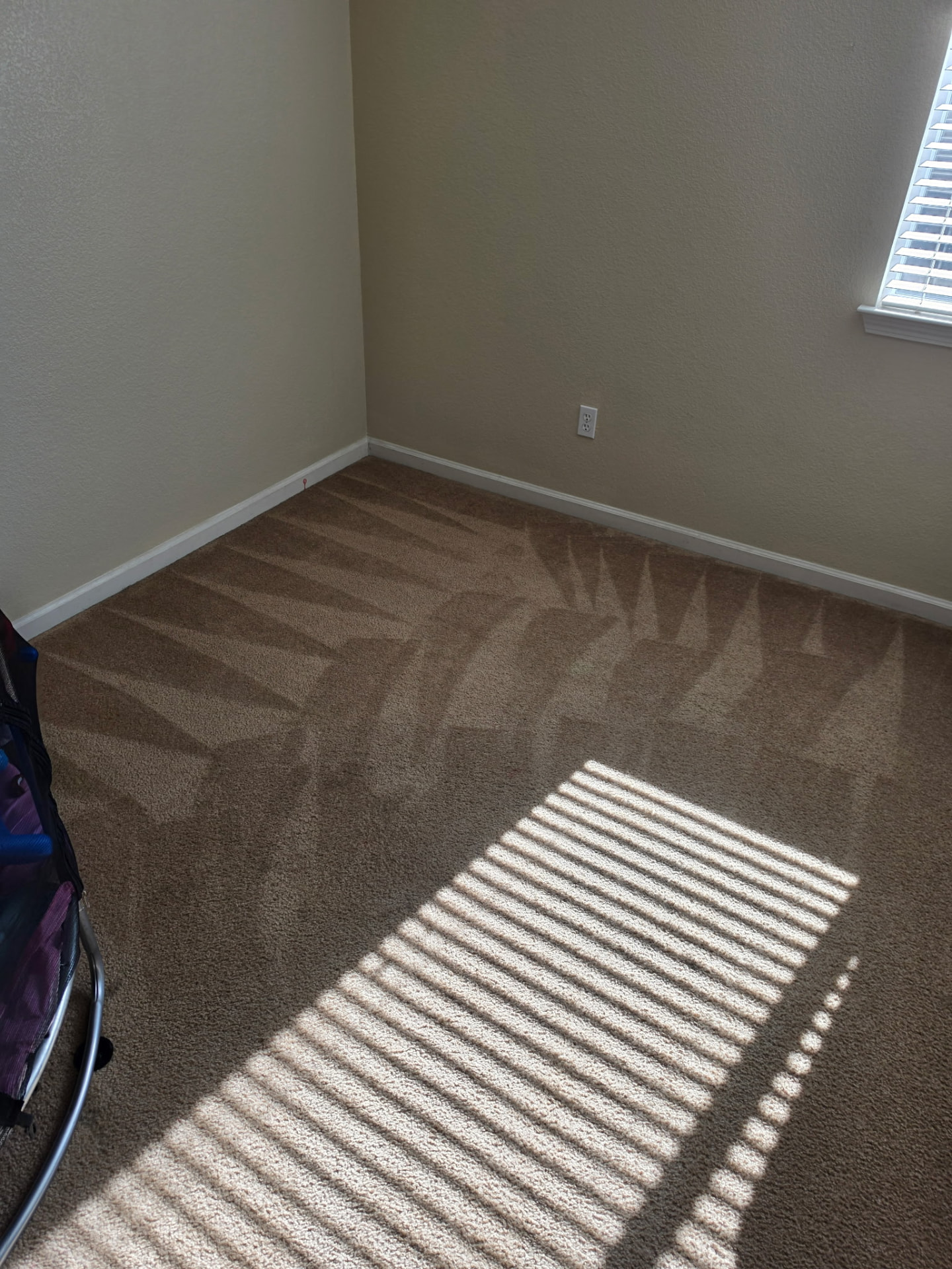 Bedroom carpet freshly cleaned with sunlight across the fibers